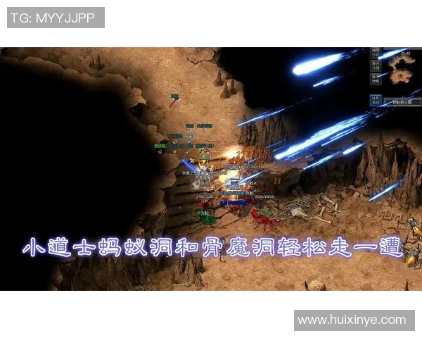 古代足球明星蚂蚁的传奇故事与历史地位探秘